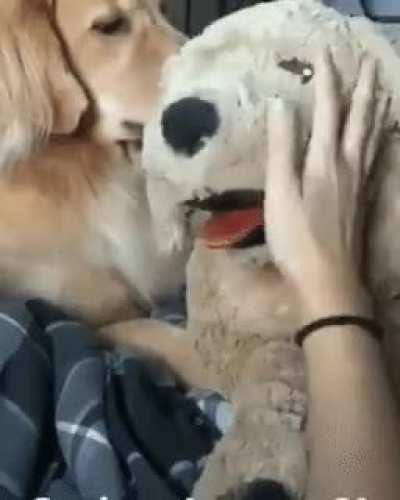 When your jealousy goes too far...