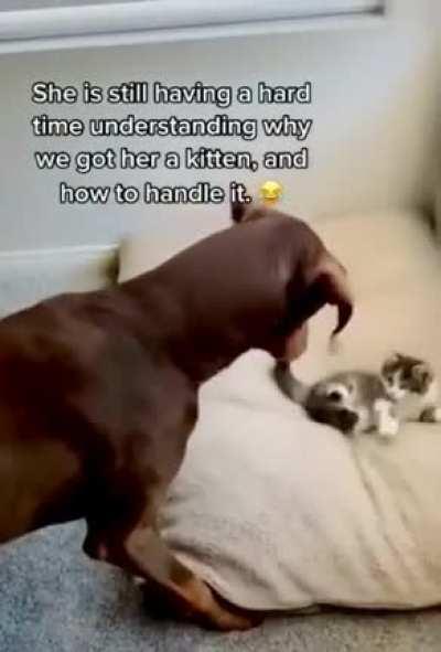 Hey! that’s my spot!