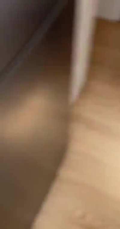 Материализация