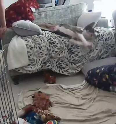 When you're so tired you immediate go back to sleep