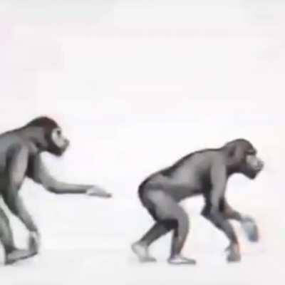 The truth Atlus didn't want you to know...😈😈😈😈