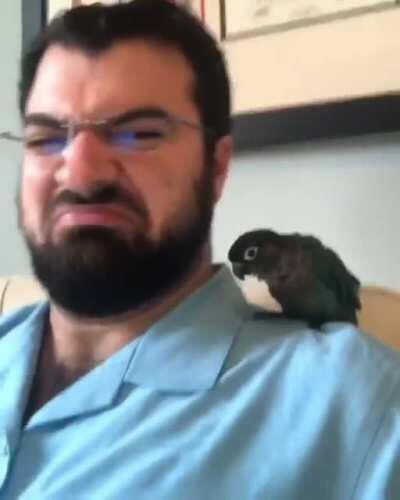 Tiki the Disco Dancer