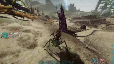 Our First Successful Element Vein Harvest!