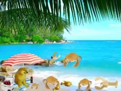 Best video ever C: FB Doge Collection