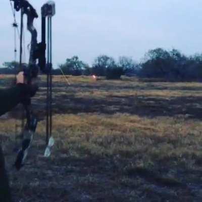 HMB While I Get Lucky