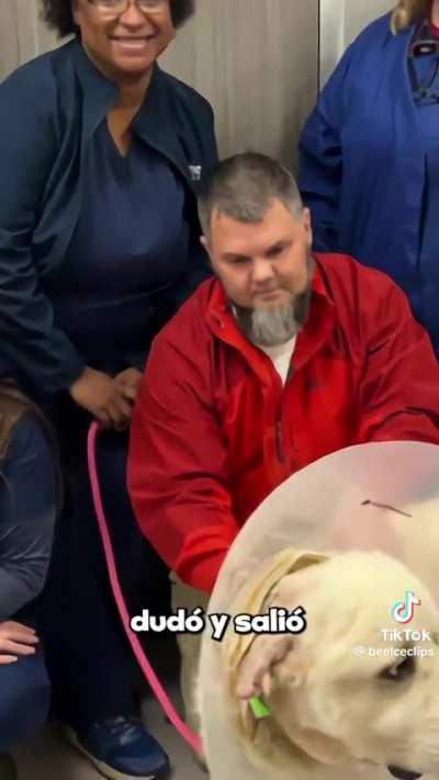 Post canino N°2: Lo narra todo super bien