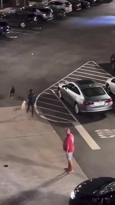 This is the oddest thing. I’m not sure if the dogs were chasing her, or being her accomplice. And why’d she hit the guy?