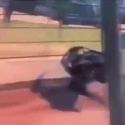 When you know you're winning so you're just showing off