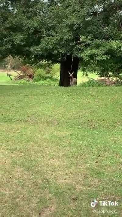 These two have a very special bond