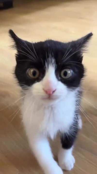 Smoll program can crash your system