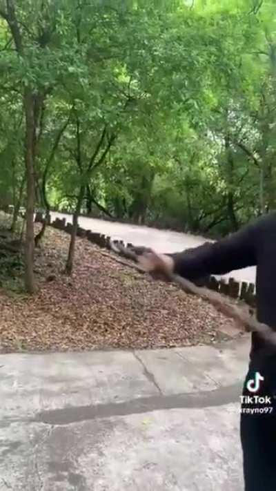 He found the stickcalibur, he is the king of the dudes now, that's the rule.