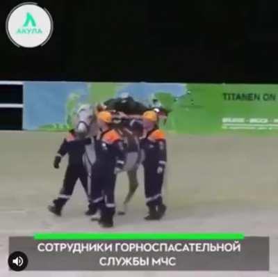 Horse demonstration gone horribly wrong