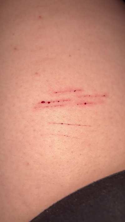 Day 63: Master let me try knife play <3