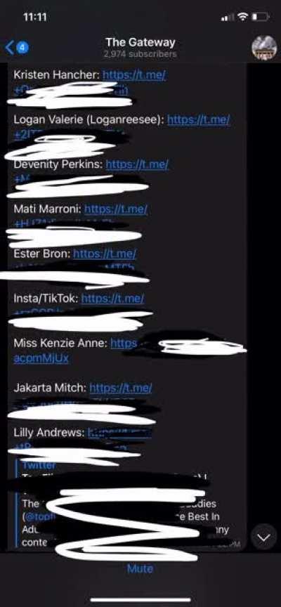 GET ALL THESE TELES🔥🔥+ more for $15‼️‼️DM ME FOR VOUCHES AND PROOF‼️