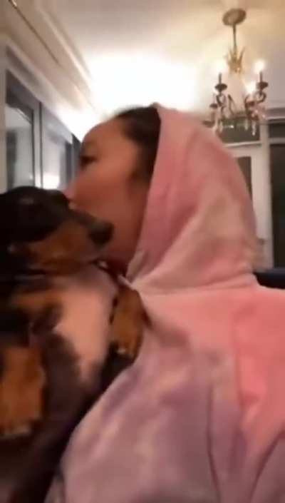 Dogs reacting to getting kisses