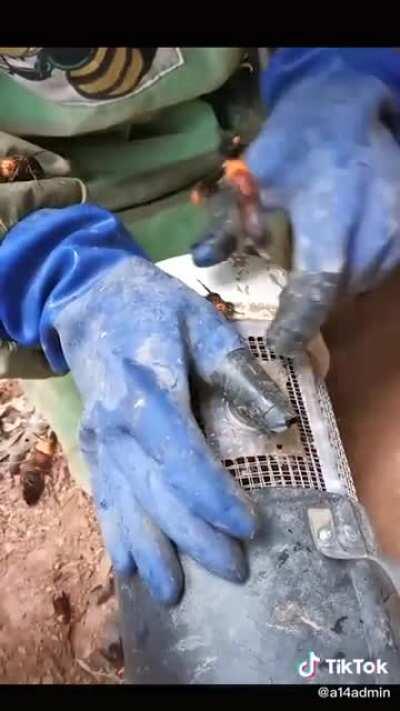 And then through it in the ocean.