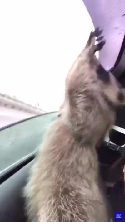 Wait!! Slow Down!! I Wanna Take This Things.