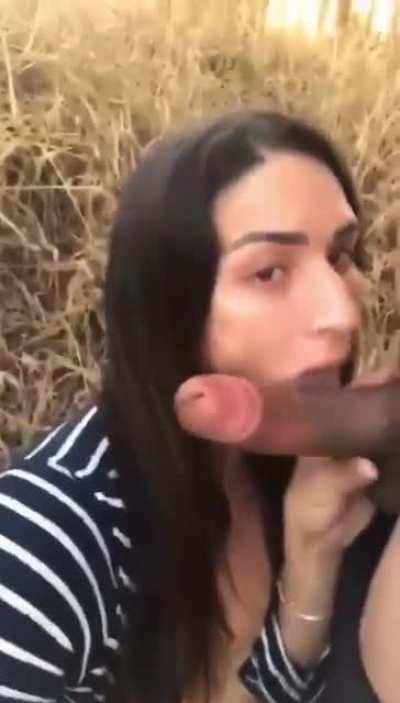 ⭐️@TsDriRodrigues⭐️  