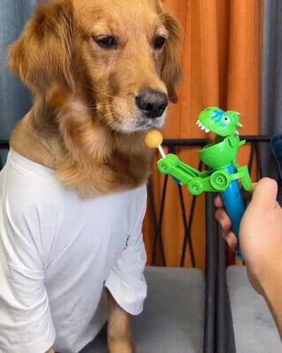 No more than one lick.