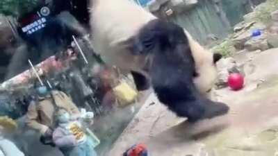 He’s proud of his sick breakdance moves.