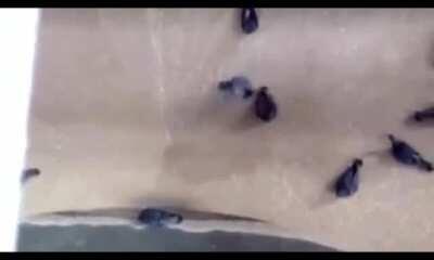 The massive food poisoning lawsuits when no one noticed this happened