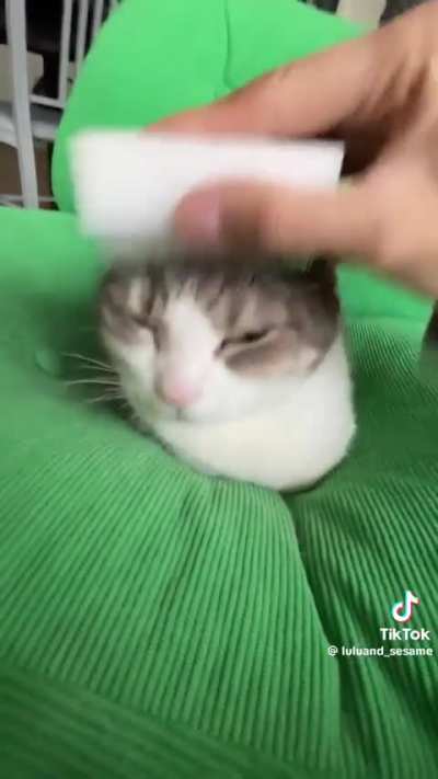 He will be grated like a fine parmesan