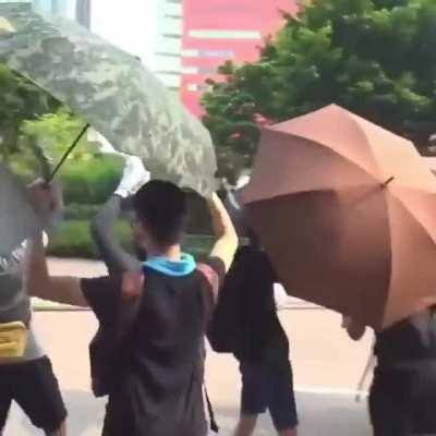 Just some based Hong Kongers engaging in anti-state praxis