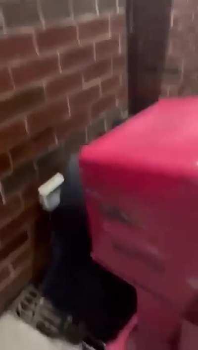 Friend filmed me collecting rent from the Ninja Turtles. Idk felt cute. Might delete later.