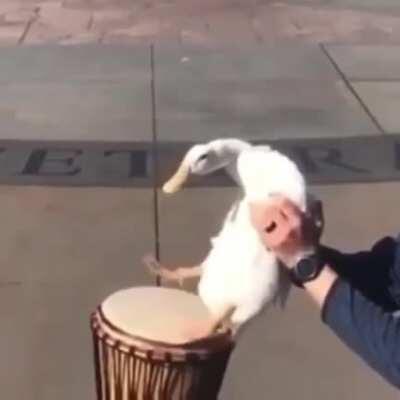 WWWWWWWWWWWWWWWWWWWWWWWWWWWWWWWWWWWWWWWWWWWWWWWWWWWWWWWWWWWWWWWWWWWWWWWWWWWWWWWWWWWWWWWWWWWWWWWWWWWWWWWWWWWWWWWWWWWWWWWWWWWWWWWWWWWWWWWWWWWWWWWWWWWWWWWWWWWWWWWWWWWWWVWWWWWWWWWWWWWWWWWWWWWWWWWWWWWWWWWWWWWWWWWWWWWWWWWWWWWWWWWWWWWWWWWWWWWWWWWWWWWWWWWWWWWWWWW