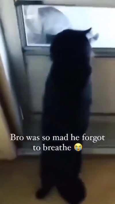 He forgot to breathe