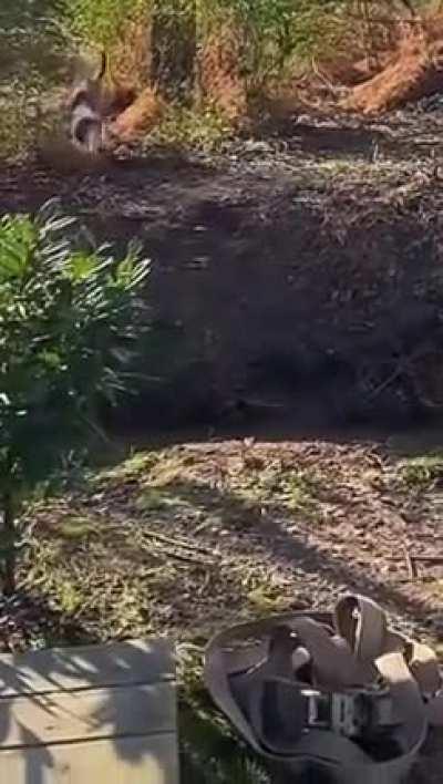 Child’s greatest rival