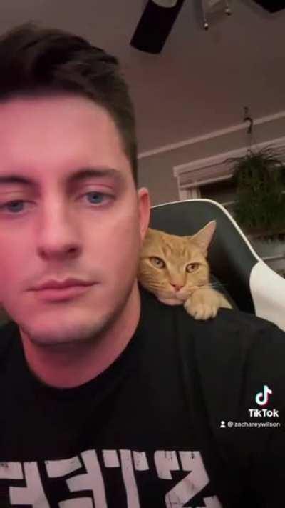 My farm kitty Cosmo doesn’t know what boundaries are. He is staying inside for the winter nights and apparently thinks I’m a tree.