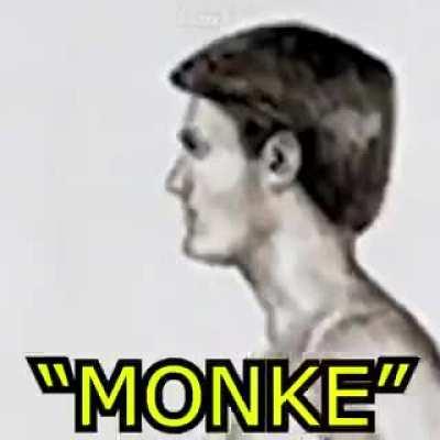 REJECT HUMANITY EMBRACE MONKE
