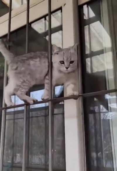 Professional stutnt performer, don't try at home.