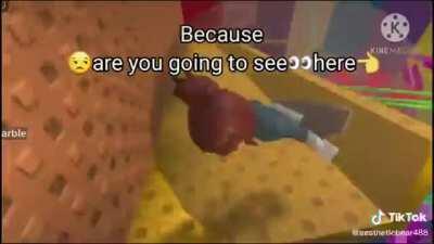 DO U HATE ROBLOS?!?!?