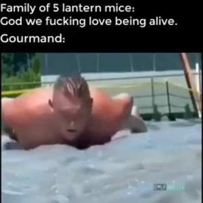 Calories are calories.