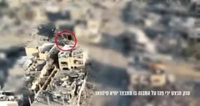 The moment sinwar got eliminated 