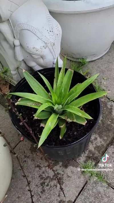 Everything is free period, we've been conditioned to think we must 