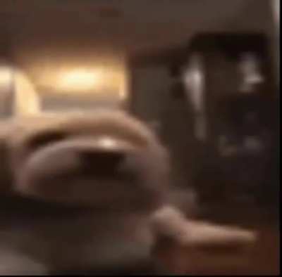 1 [] [WIND WHISTLING] [BIRDS CHIRPING] [THUNDER RUMBLING IN DISTANCE] [WATER DRIPS ECHOING] [BATS SKITTERING] [HELICOPTER WHIRRING] [MEN YELLING INDISTINCTLY IN SPANISH] We shouldn't be here when it gets dark. Set the trap at the mouth of the cave, please