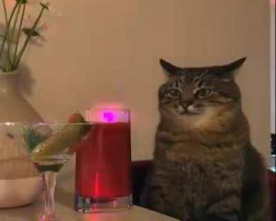 Link to the discord is in the comments