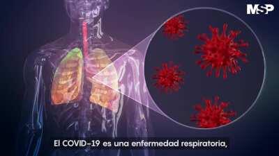 CORONAVIRUS INFO