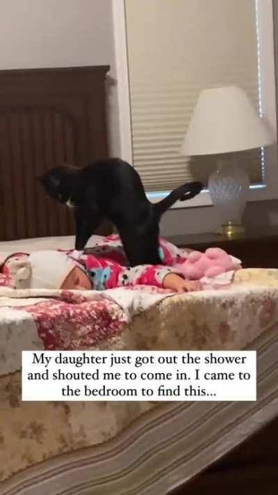 Kitty taking care of little kiddo