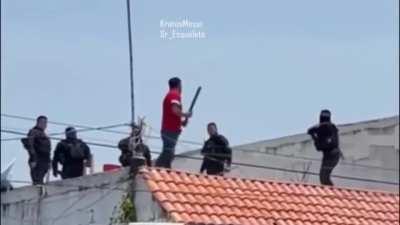 Average day in Florida 