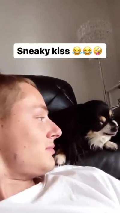 I love u hooman 🥰😁