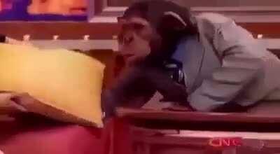 Behind the scenes on Oneyplays