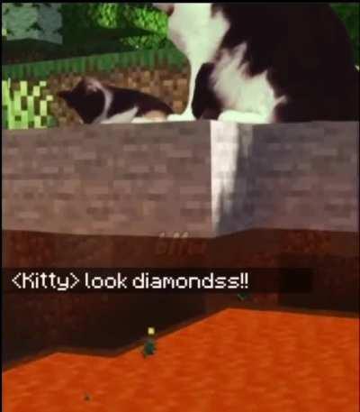 Man those paws got some serious knockback