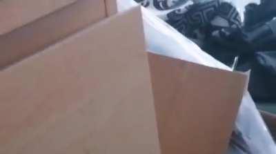 You guys hear it too, right?