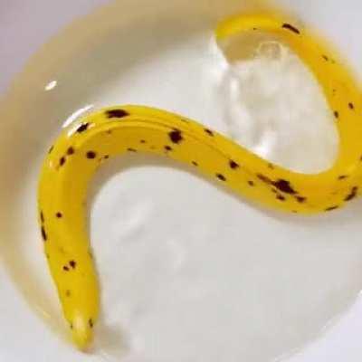 Eel, God of Bananas and all what's yellow.