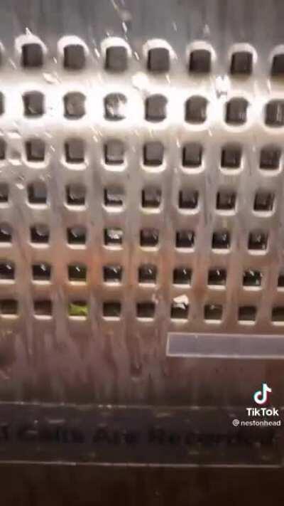 Dunno what she was talking about the patter is brilliant