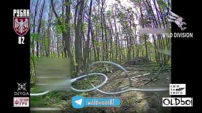 'Wild Division' of the 82nd Air Assault Brigade of Ukraine destroy Russian targets in Kharkiv region [May 2025]